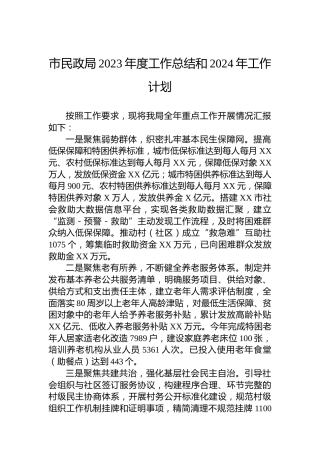市民政局2023年度工作总结和2024年工作计划