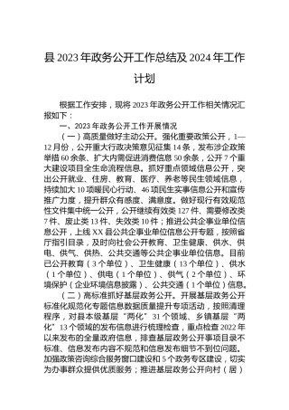 县2023年政务公开工作总结及2024年工作计划