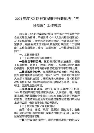 2024年度XX区档案局推行行政执法 “三项制度”工作总结