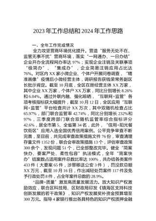 2023年工作总结和2024年工作思路