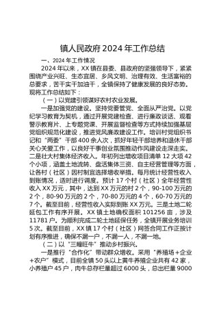 镇人民政府2024年工作总结