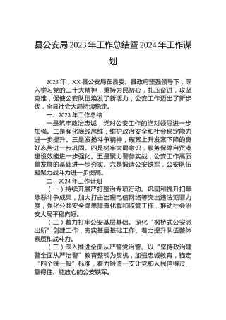 县公安局2023年工作总结暨2024年工作谋划