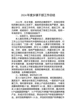 2024年度乡镇干部工作总结