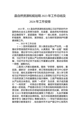 县自然资源和规划局2023年工作总结及2024年工作安排