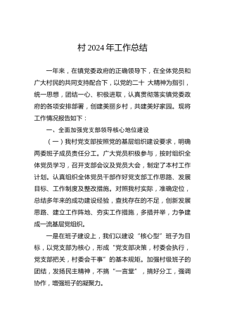 村2024年工作总结