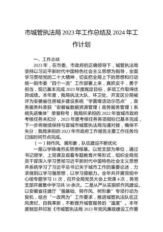 市城管执法局2023年工作总结及2024年工作计划