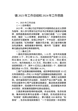 镇2023年工作总结和2024年工作思路