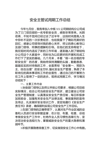 安全主管试用期工作总结