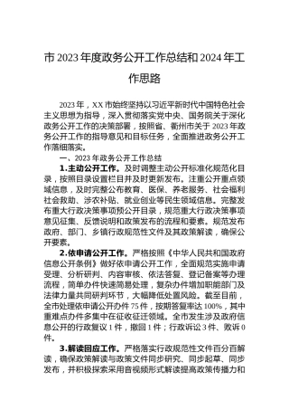 市2023年度政务公开工作总结和2024年工作思路