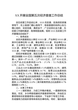 XX开展全国第五次经济普查工作总结