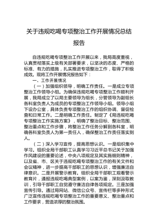 关于违规吃喝专项整治工作开展情况总结报告