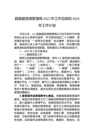县数据资源管理局2023年工作总结和2024年工作计划