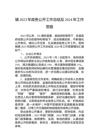 镇2023年政务公开工作总结及2024年工作思路