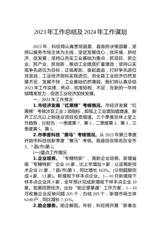 2023年工作总结及2024年工作谋划