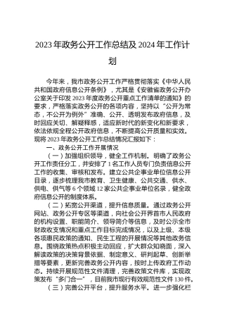 2023年政务公开工作总结及2024年工作计划