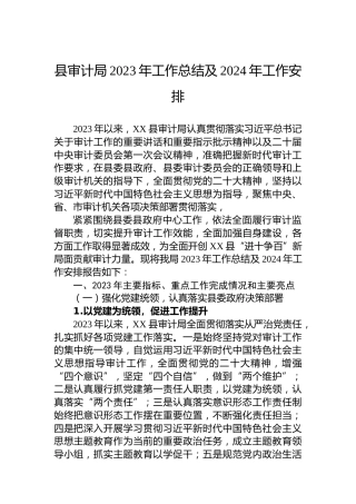 县审计局2023年工作总结及2024年工作安排