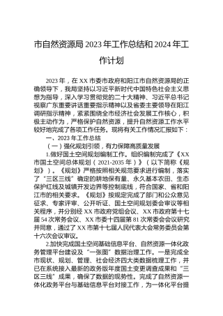 市自然资源局2023年工作总结和2024年工作计划