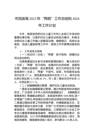 市民政局2023年“两纲”工作总结和2024年工作计划