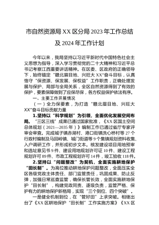 市自然资源局XX区分局2023年工作总结及2024年工作计划