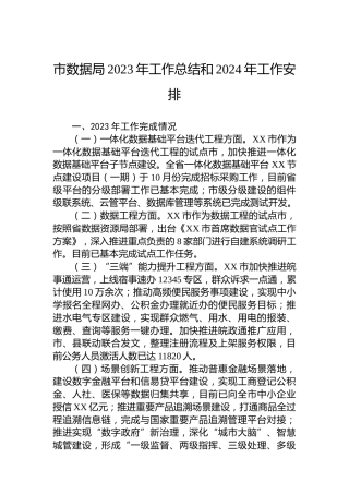市数据局2023年工作总结和2024年工作安排