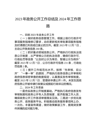 2023年政务公开工作总结及2024年工作思路