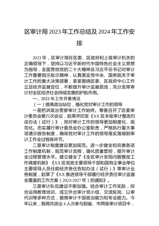区审计局2023年工作总结及2024年工作安排