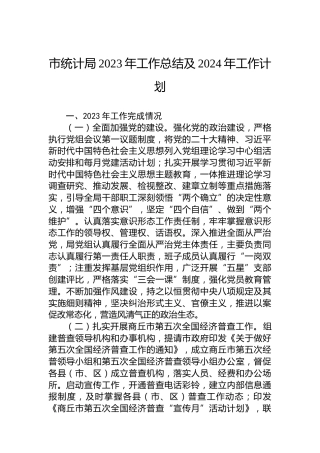 市统计局2023年工作总结及2024年工作计划