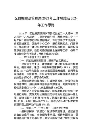 区数据资源管理局2023年工作总结及2024年工作思路