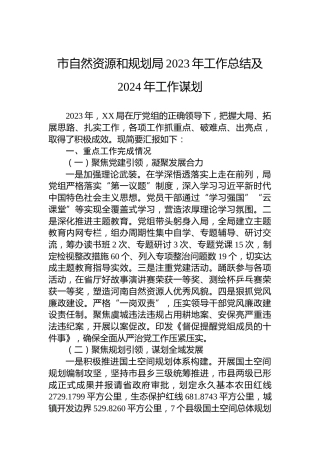 市自然资源和规划局2023年工作总结及2024年工作谋划