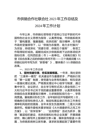 市供销合作社联合社2023年工作总结及2024年工作计划