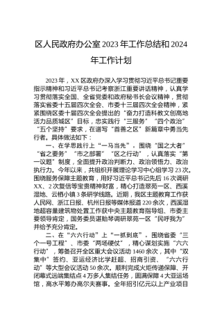 区人民政府办公室2023年工作总结和2024年工作计划