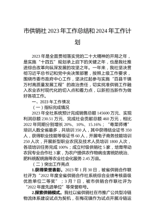 市供销社2023年工作总结和2024年工作计划