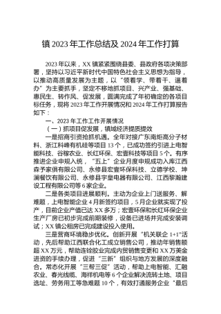 镇2023年工作总结及2024年工作打算