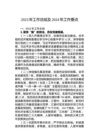 2023年工作总结及2024年工作要点
