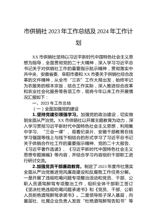 市供销社2023年工作总结及2024年工作计划