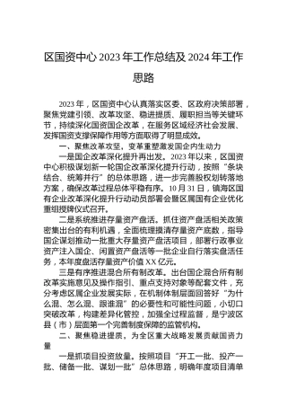 区国资中心2023年工作总结及2024年工作思路
