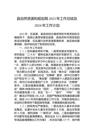 县自然资源和规划局2023年工作总结及2024年工作计划