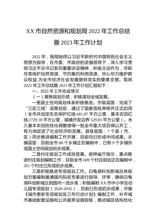 XX市自然资源和规划局2022年工作总结暨2023年工作计划