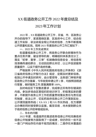 XX街道政务公开工作2022年度总结及2023年工作计划