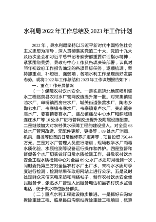 水利局2022年工作总结及2023年工作计划