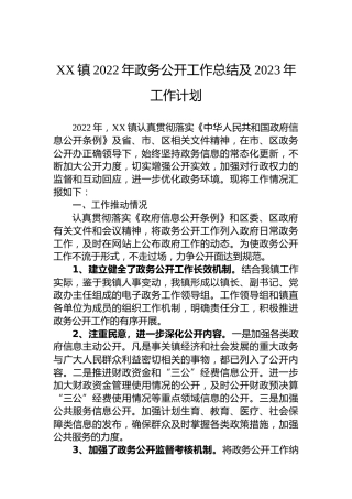 XX镇2022年政务公开工作总结及2023年工作计划