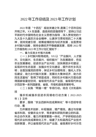 2022年工作总结及2023年工作计划