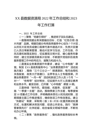 XX县数据资源局2022年工作总结和2023年工作打算