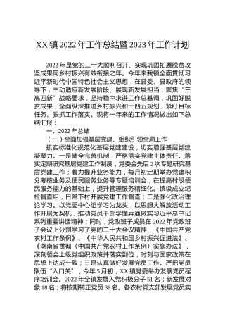 XX镇2022年工作总结暨2023年工作计划