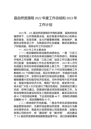 县自然资源局2022年度工作总结和2023年工作计划