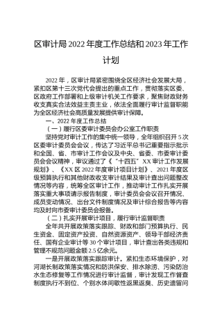 区审计局XX街道2022年度工作总结及2023年工作计划
