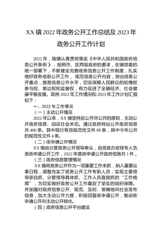 XX镇2022年政务公开工作总结及2023年政务公开工作计划