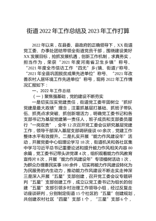 街道2022年工作总结及2023年工作打算