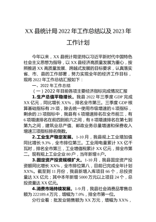 XX县统计局2022年工作总结以及2023年工作计划