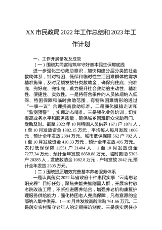 XX市民政局2022年工作总结和2023年工作计划